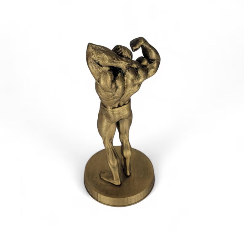 Bodybuilder Trophies/Figures - Competition awards