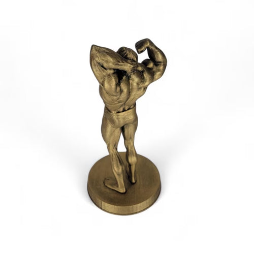 Bodybuilder Trophies/Figures - Competition awards