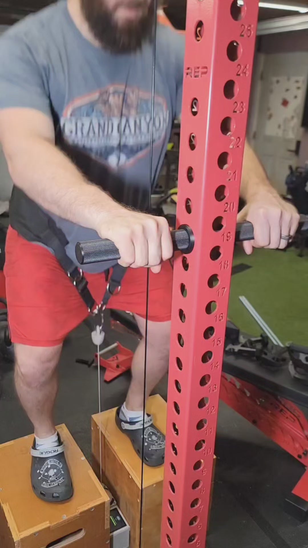 Belt Squat Handles